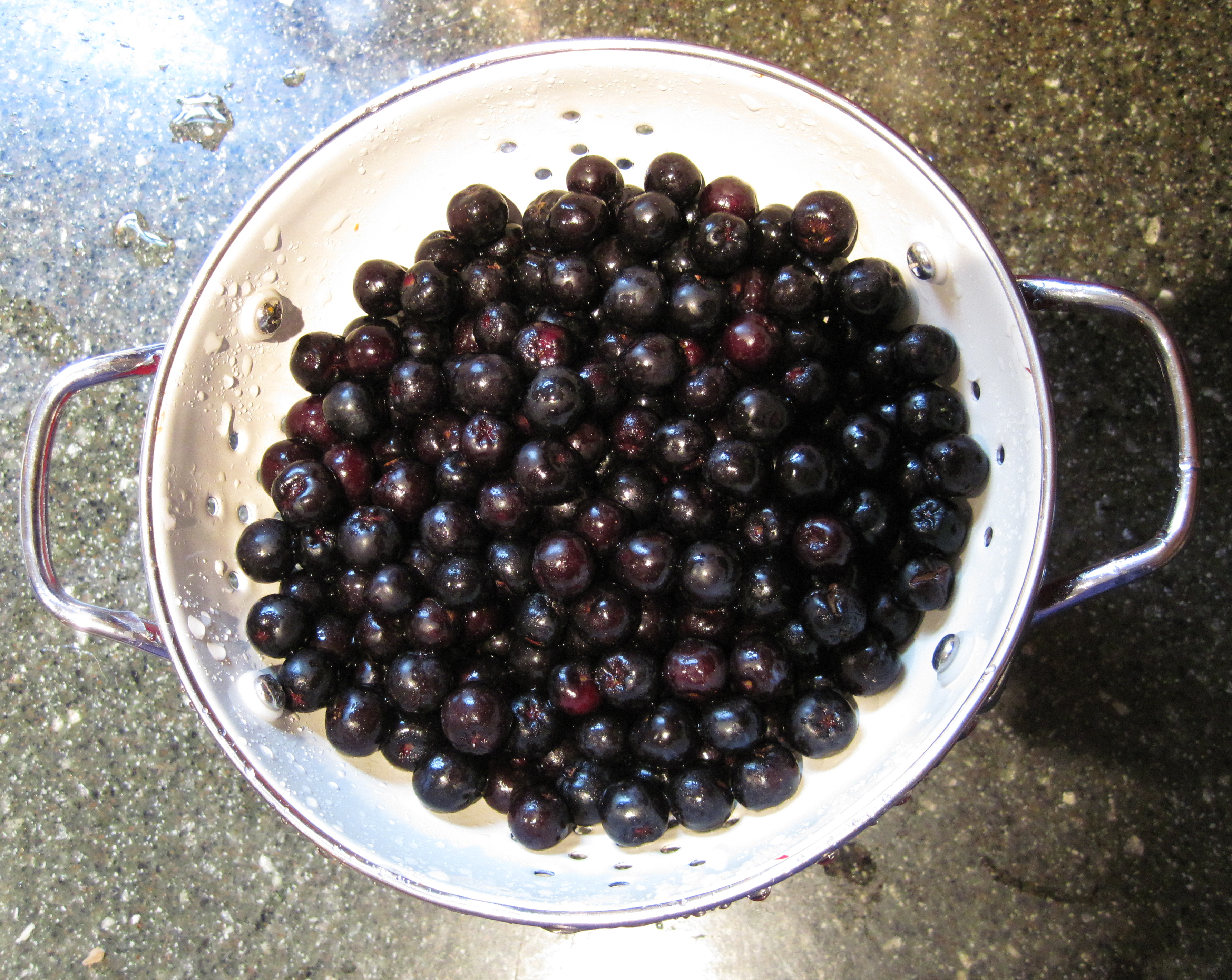Black-red berries in a colander