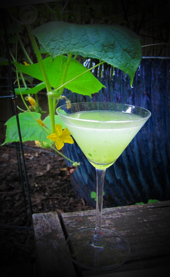 Light green martini with cucumber vine in the background