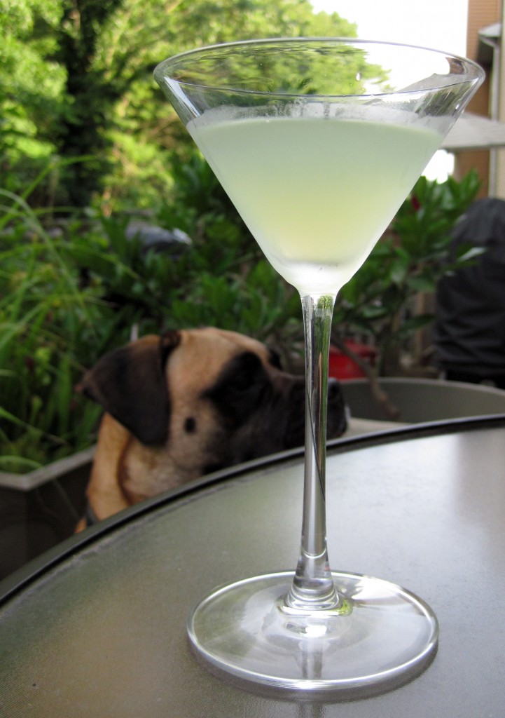 Light green cocktail in a martini glass with Greta in the background
