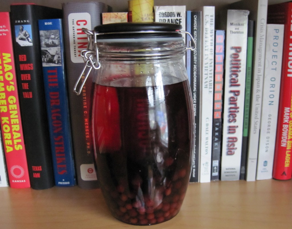 Jar full of berries and red liquid in front of books