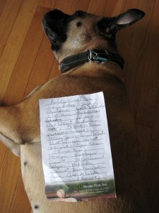 A list of alcohols lying on top of Greta the dog
