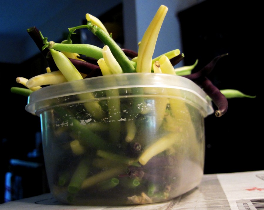 Plastic container of yellow, purple and green beans